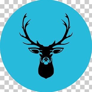 310x308 White Tailed Deer Red Deer Drawing Png, Clipart, Animals, Antler