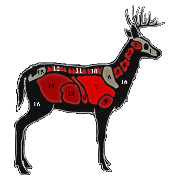 362x380 Collection Of Free Buck Drawing White Tailed Deer Download On Ui Ex