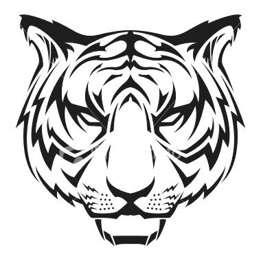 380x380 Easy Drawing Of Tiger White Tiger