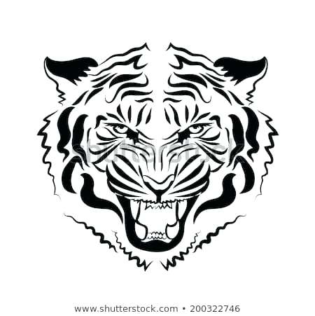 450x451 How To Draw A Tiger Face Color Vector Drawing Of The Head
