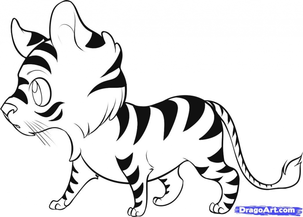 1024x736 How To Draw A White Tiger Cub