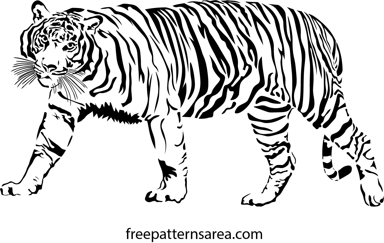 1246x788 Tiger Drawing Png Free Tiger Drawing Transparent Images