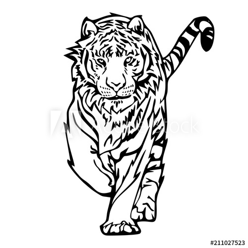 500x500 Tiger Walk Silhouette Drawing Tattoo Vector With White Isolated