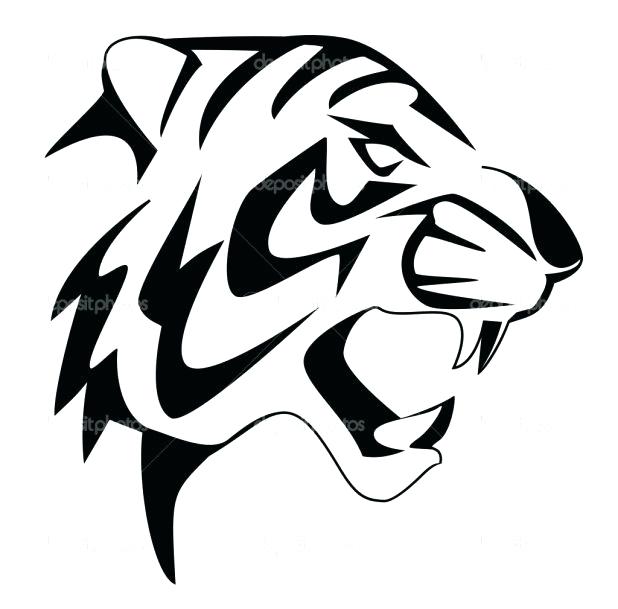 618x609 Bengal Tiger Drawings