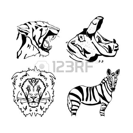 450x450 Drawn White Tiger Jungle Drawing