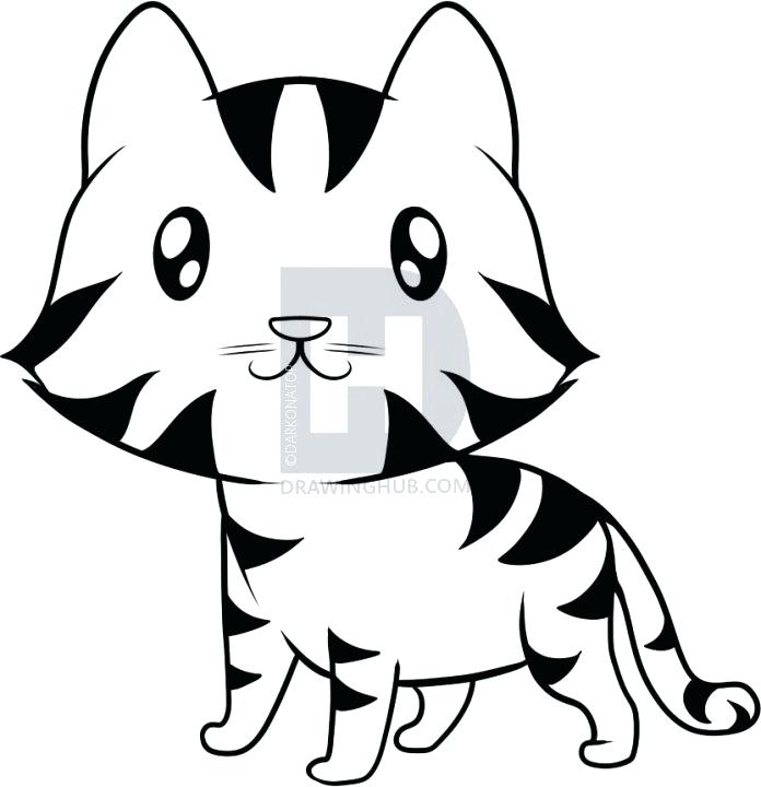 696x720 Draw Tiger For Kids Step