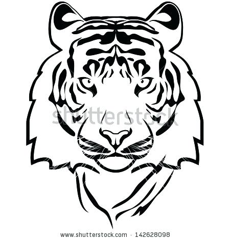 White Tiger Face Drawing | Free download on ClipArtMag