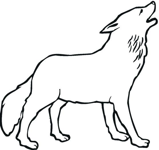 556x525 Wolf Face Outline Tattoo Ideas On Free Howling Drawing