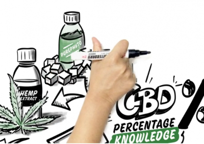 400x284 Speed Drawing Video