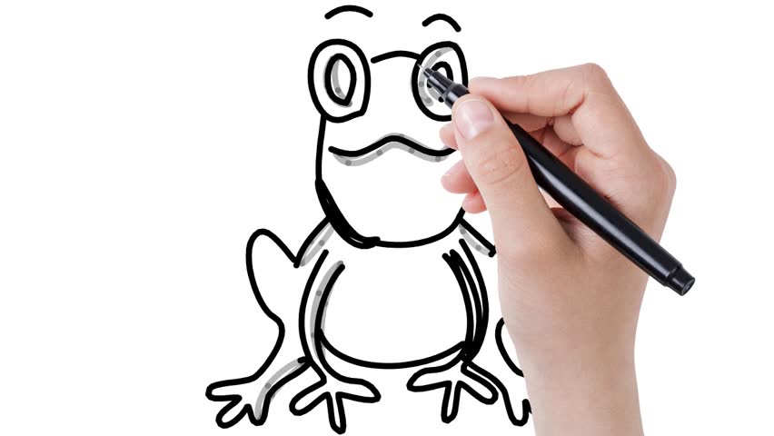 852x480 Man Sketching Frog On Whiteboard Stock Footage Video