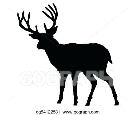 450x380 Drawing Of A Deer Whitetail Deer Drawing Easy Zupa