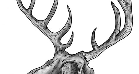 471x250 Starbuck Coffee Drawing Megabuck Whitetail Buck Curtains Lyrics
