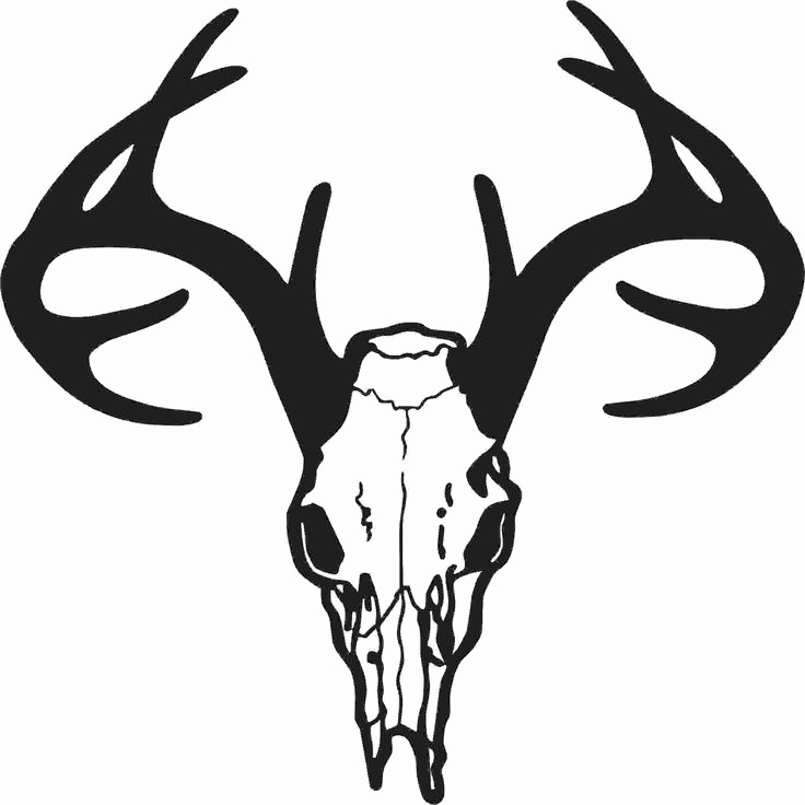 736x736 Whitetail Deer Antlers Clipart Best Of Hotmeini Buck Skull Decal