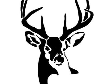 Whitetail Buck Drawing | Free download on ClipArtMag