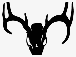 320x240 Deer Skull Png, Free Hd Deer Skull Transparent Image