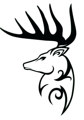 360x511 Easy Deer Drawings Deer Drawing Step Easy Stag Head Drawing