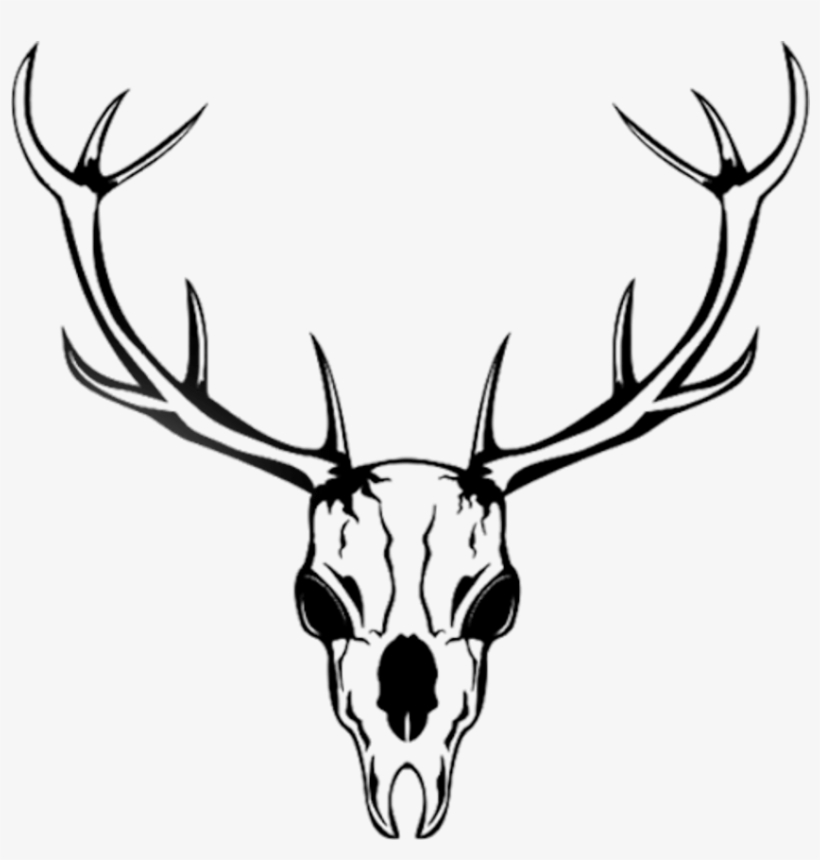 820x860 Necromancer Drawing Deer Skull