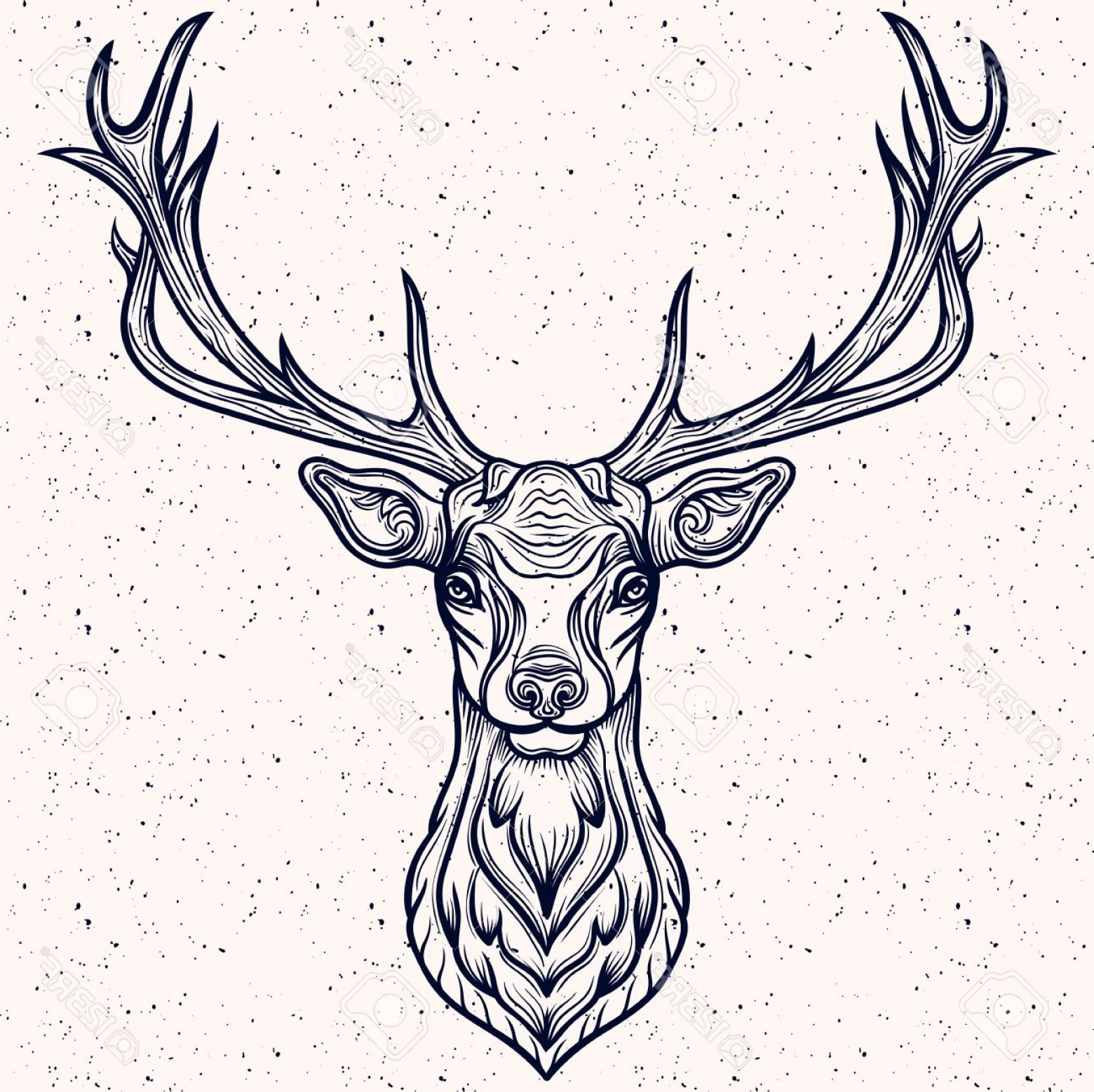 1560x1558 Photostock Vector Vector Illustration Of A Whitetail Deer Head