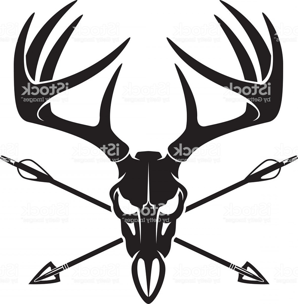 1206x1228 Whitetail Deer Buck Skull With Crossing Hunting Arrows Gm Soidergi