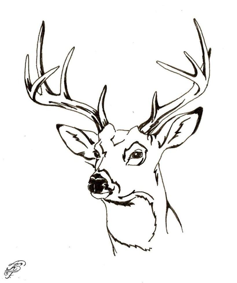 819x976 Deer Head Coloring Pages