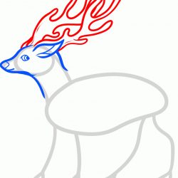 250x250 Small Antler Drawing Deer Flowers Whitetail A Easy Reindeer