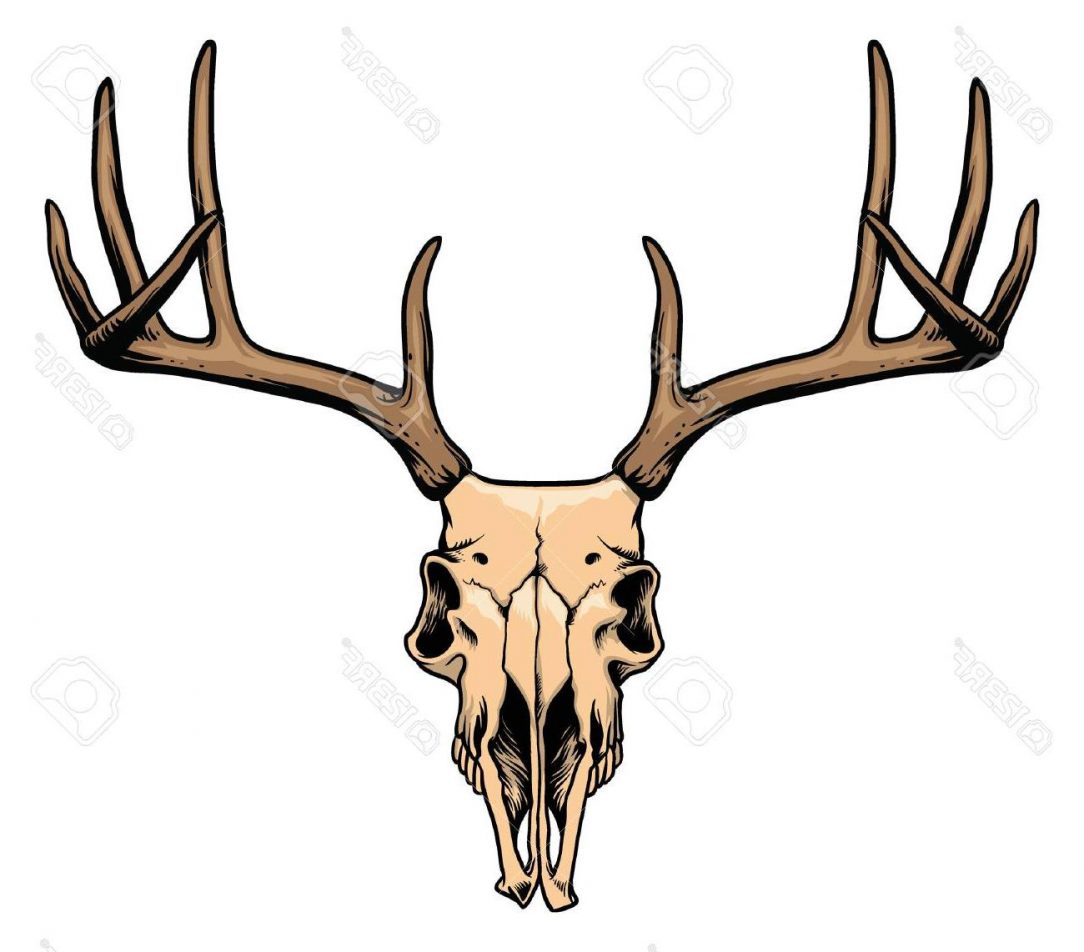 1084x952 Things To Draw Cute Tags Different Styles Of Drawing Cool Things