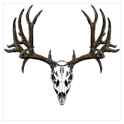 400x400 White Tailed Deer Clipart Mule Deer