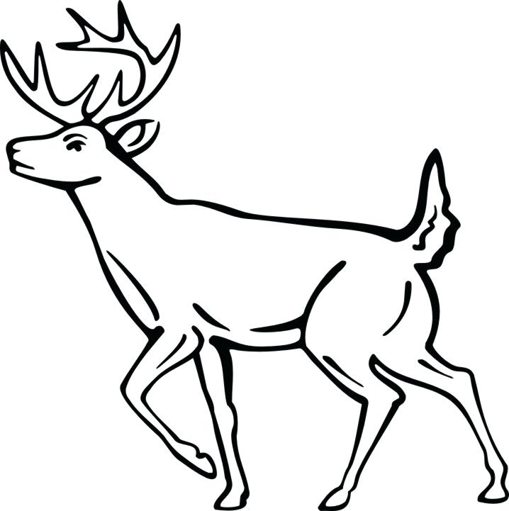 718x721 Deer Line Drawing