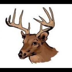 250x250 Deer Drawing Easy Step