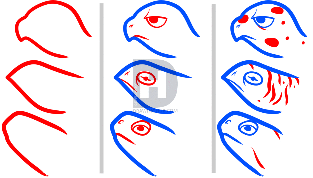 1080x616 How To Draw Turtles For Kids, Step