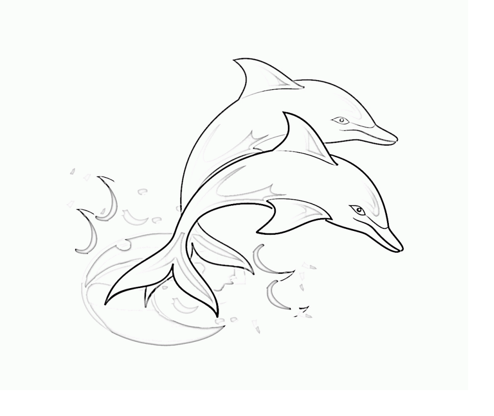 992x836 Learn How To Draw A Dolphin With This Simple Easy And Fun And Step