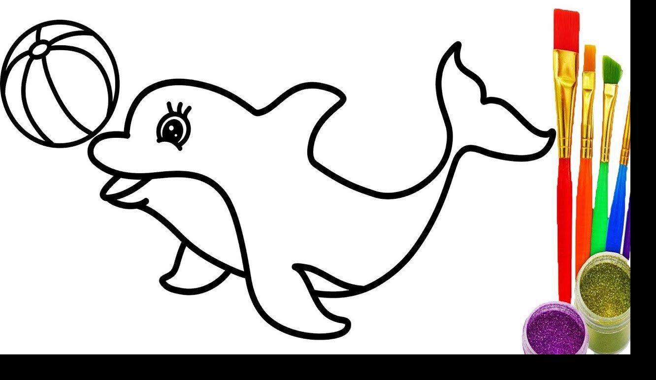 1332x772 Learn How To Draw A Dolphin With This Simple Easy And Fun And Step