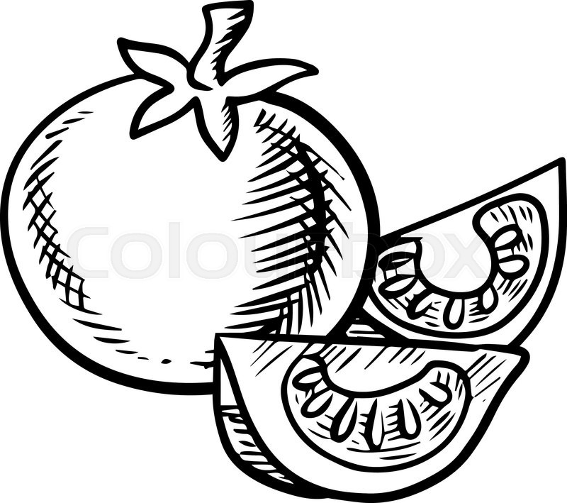 800x709 Whole And Sliced Fresh Tomato Stock Vector Colourbox