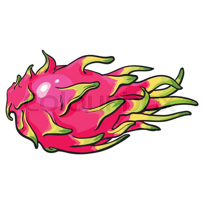 800x800 Whole Unpeeled, Uncut Dragon Fruit In Stock Vector Colourbox