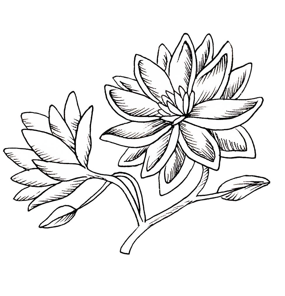 976x1012 Fairy Tales Art