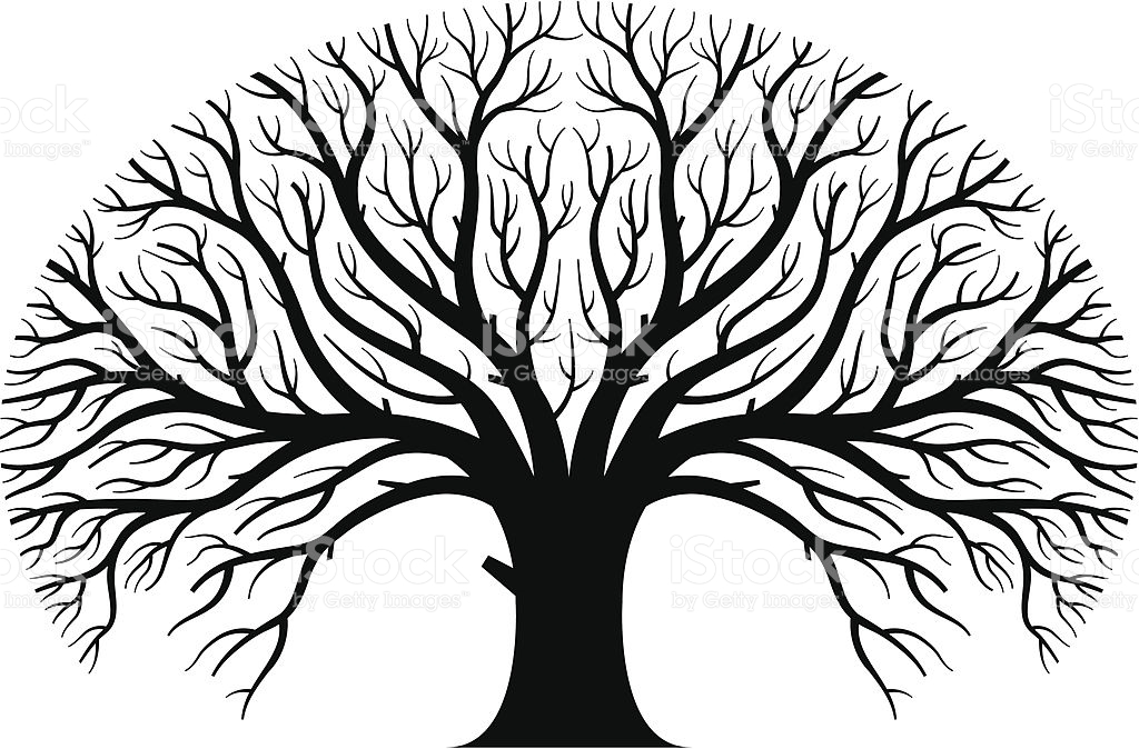 1024x674 Tree Vector Clip Art
