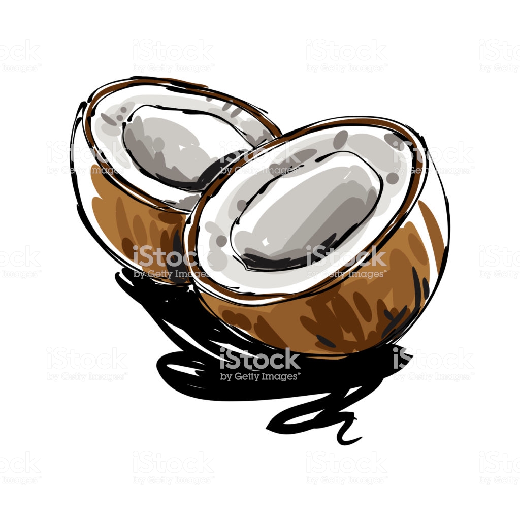1024x1024 Coconut Drawing Easy Tree Step