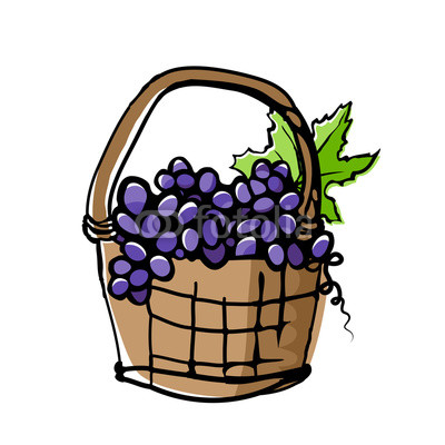 400x400 Grapes In Wicker Basket Drawing With Offset Effect Buy Photos