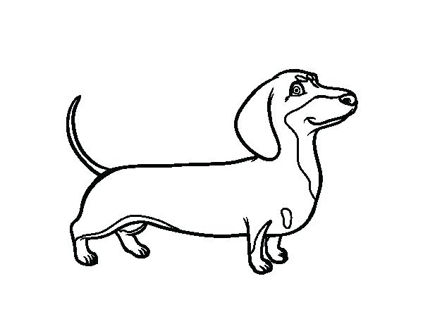 600x470 dachshund coloring book pages dachshund cartoon drawing coloring