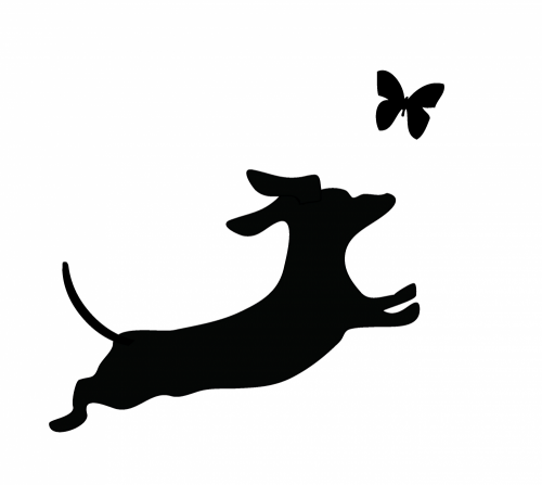 Collection of Dachshund clipart | Free download best Dachshund clipart