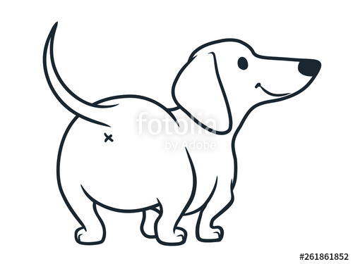 500x375 Cute Dachshund Sausage Dog Vector Cartoon Illustration Isolated