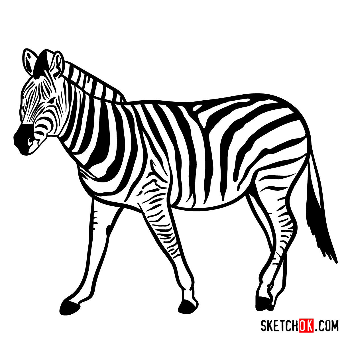 1200x1200 How To Draw A Zebra Wild Animals