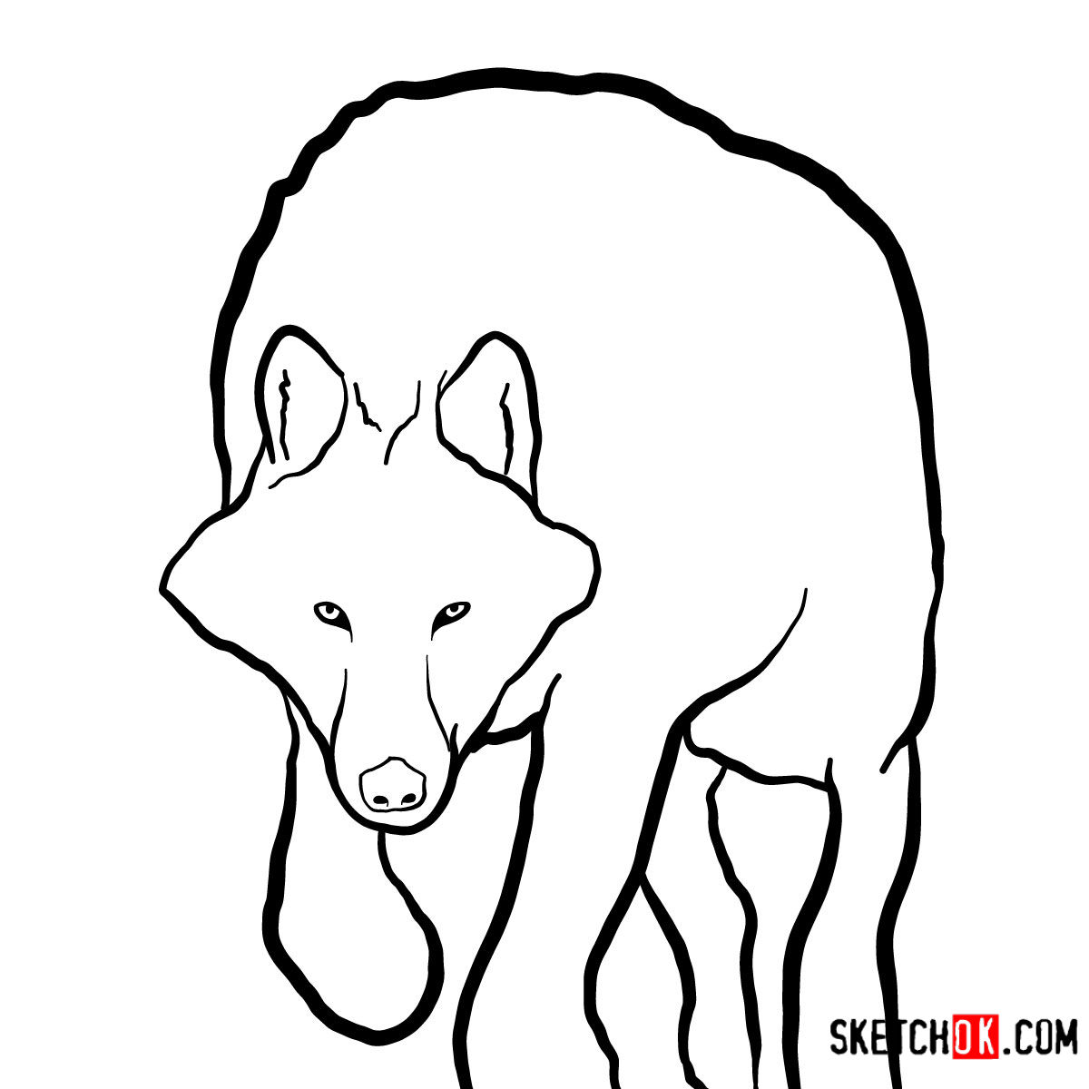 1200x1200 How To Draw An Arctic Wolf Wild Animals