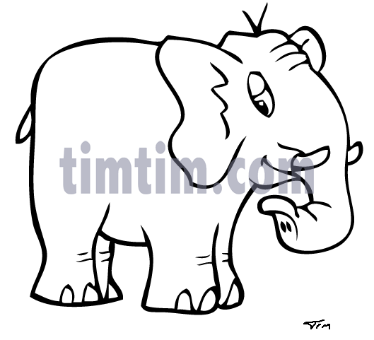 529x481 Wild Animals Drawings