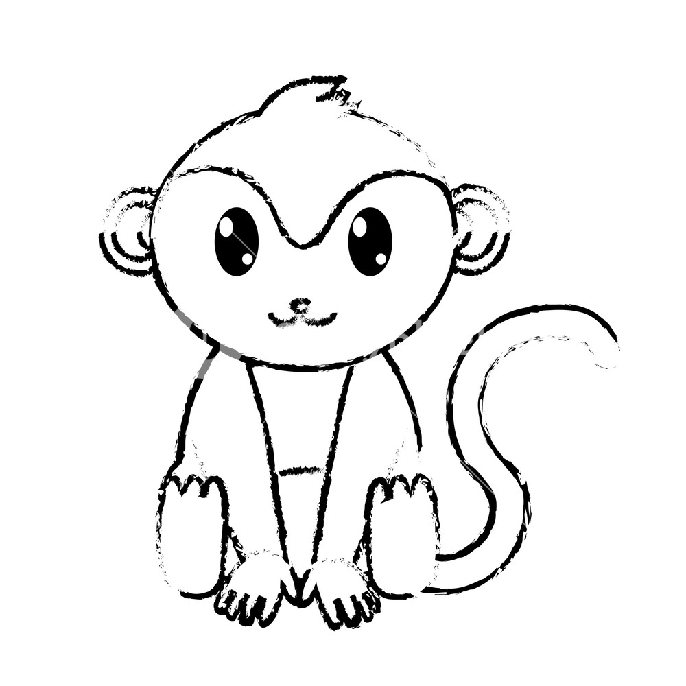 1000x1000 Monkey Cute Wild Animal Character Vector Illustration Royalty Free