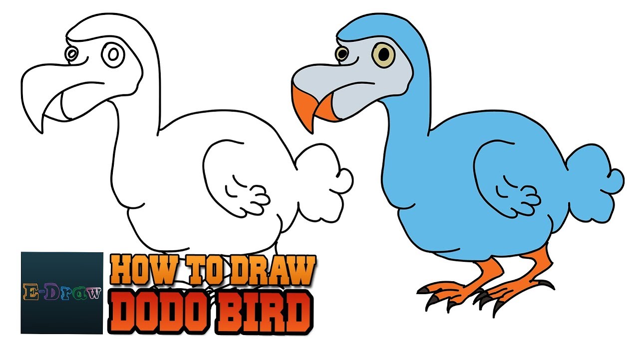 1280x720 how to draw a dodo bird cartoon dodo bird for kids step