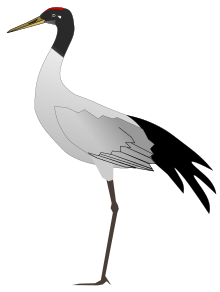 220x292 Wildlife Of Ladakh