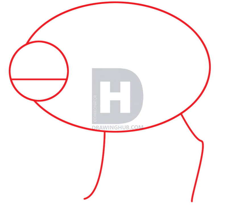 837x720 how to draw a boar, wild boar, step