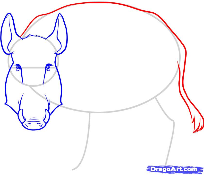 840x722 how to draw a boar, wild boar, step
