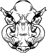 166x185 Wild Boar Skulls Drawings Mascot Clipart Image Of A Wild Boars
